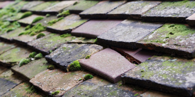 Goddington roof repair costs